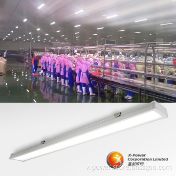 1x15W 2ft Epistar led chip new product ip65 led light fittings